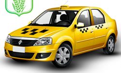 شماره تماس و لیست رانندگان تاکسی سرویس شهنان
